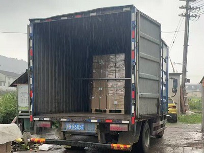 Posljednja sigurnosna linija počinje: nepovratni ventili DN10 namijenjeni Ita...